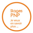 Stages PNP